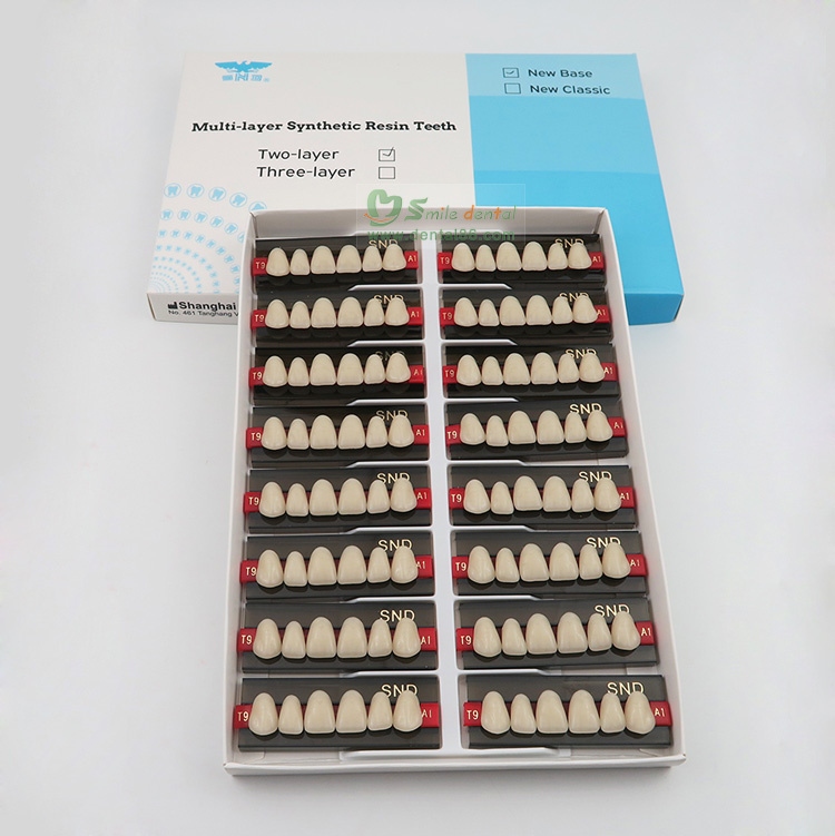 Two Layer Acrylic Resin Teeth